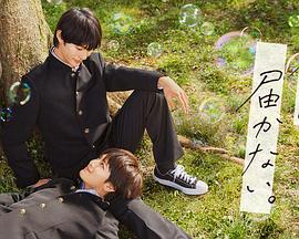 网站优化建模方案设计